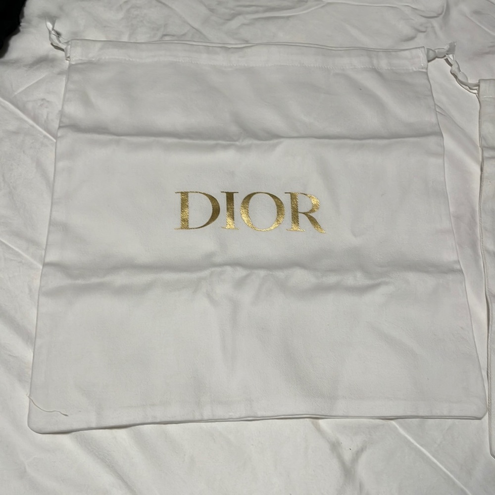 Dior shoes bag
